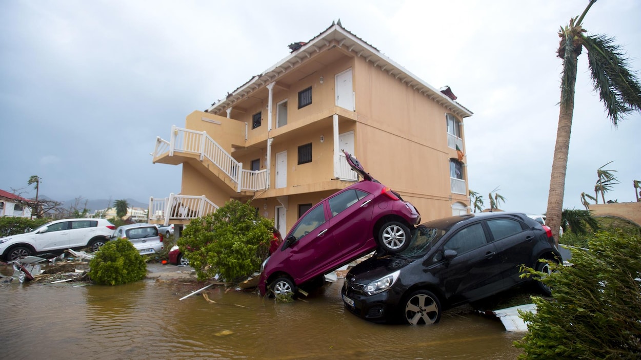 https://images.radio-canada.ca/q_auto,w_1250/v1/ici-info/16x9/saint-martin-ouragan-irma.jpg