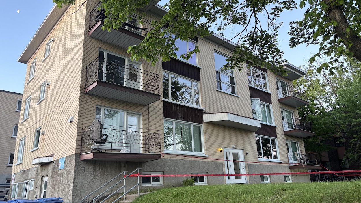 Deux individus arrêtés pour une tentative de meurtre à Sainte-Foy