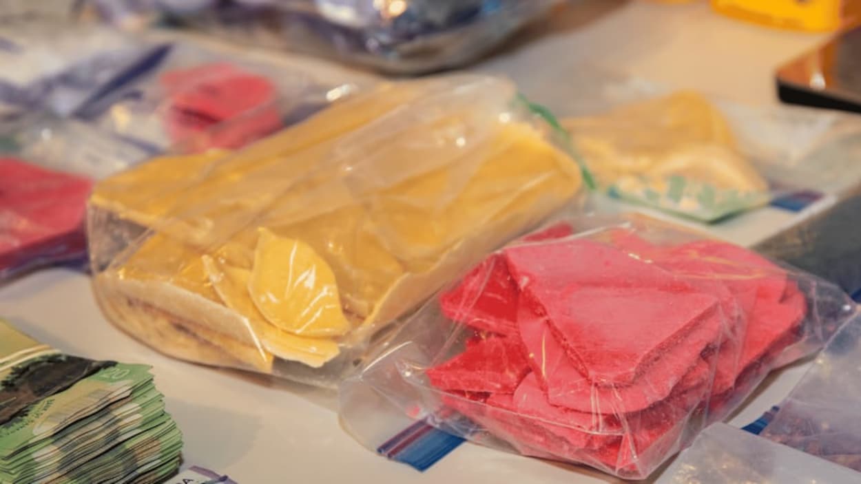 Un premier réseau de production de fentanyl démantelé à Regina