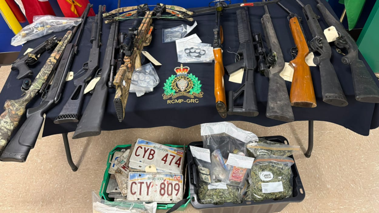 Saisie de 26 véhicules volés et d’armes à feu à Moncton