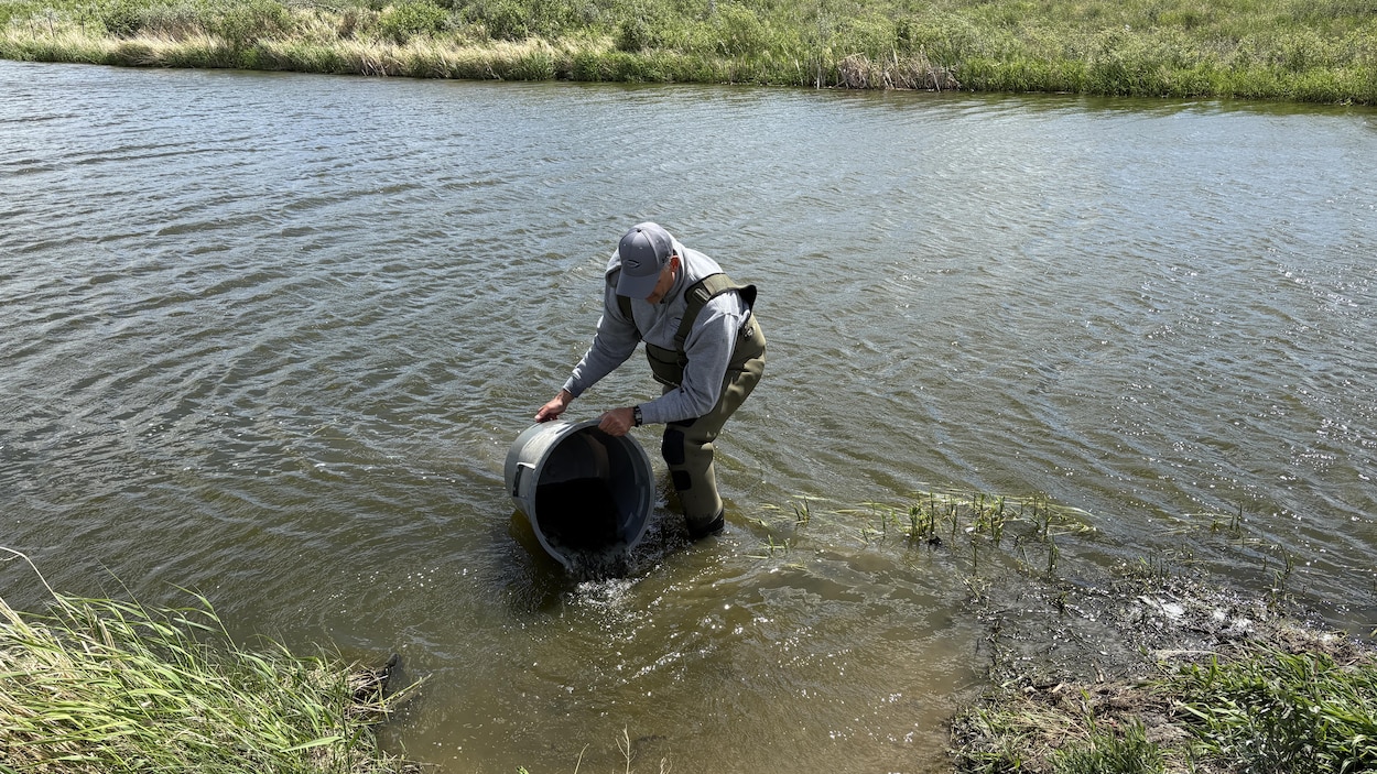 La Saskatchewan mise sur la pêche sportive