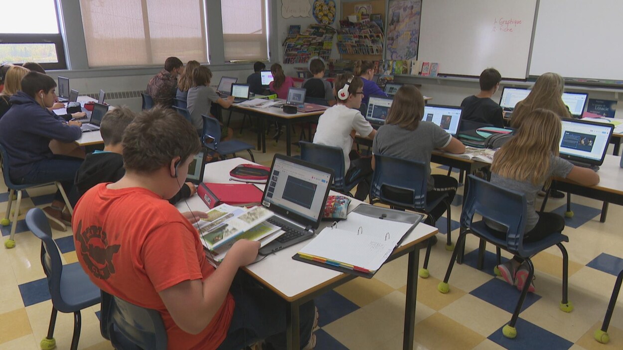 Des élèves vus de dos travaillent en classe sur leurs ordinateurs.