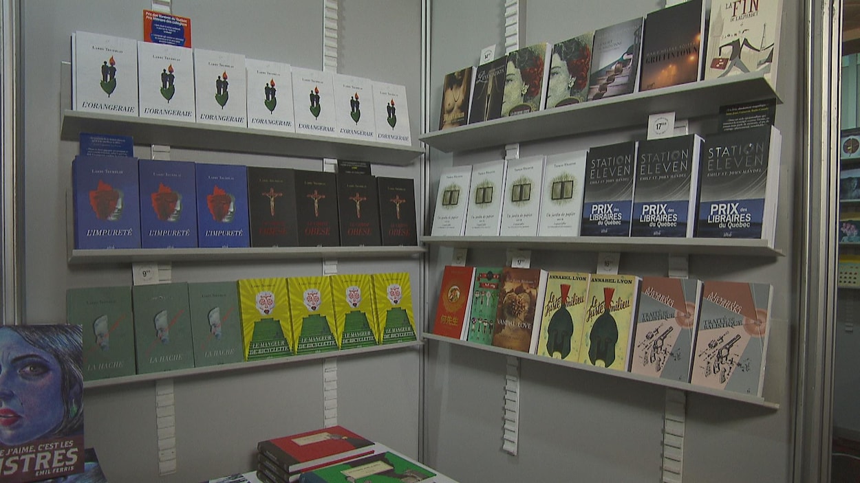 Des livre sur des tablettes