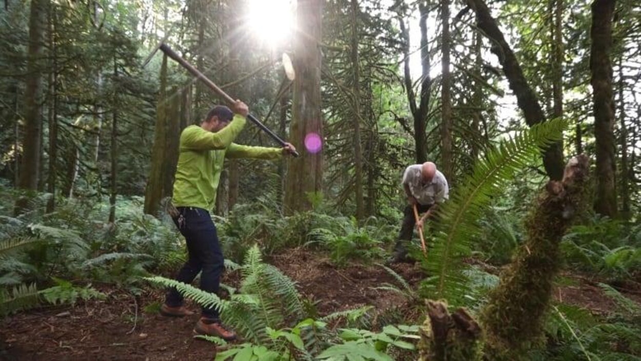 Deux hommes avec des outils de jardinage en plein milieu d'une forêt.