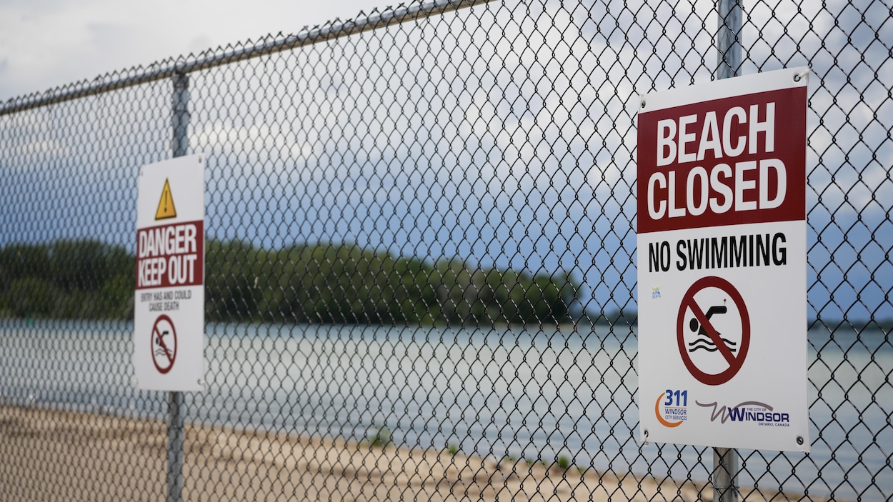 Plage Sandpoint à Windsor : un an après la fermeture, où en sommes-nous?