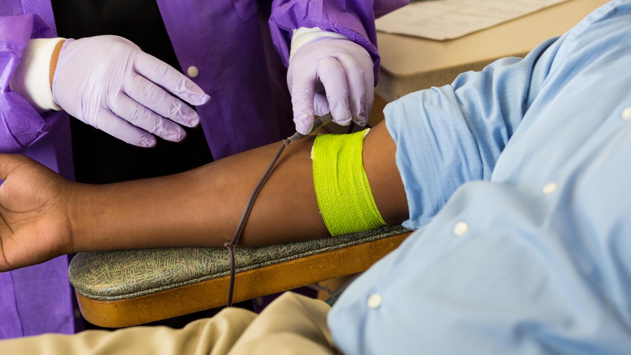 Du sang de donneurs noirs demandé pour combattre l'anémie ...