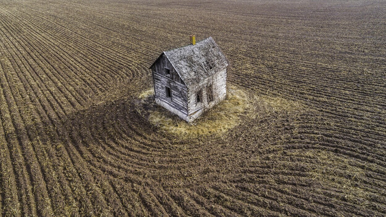 Une petite cabane isolée au milieu d'un champ.