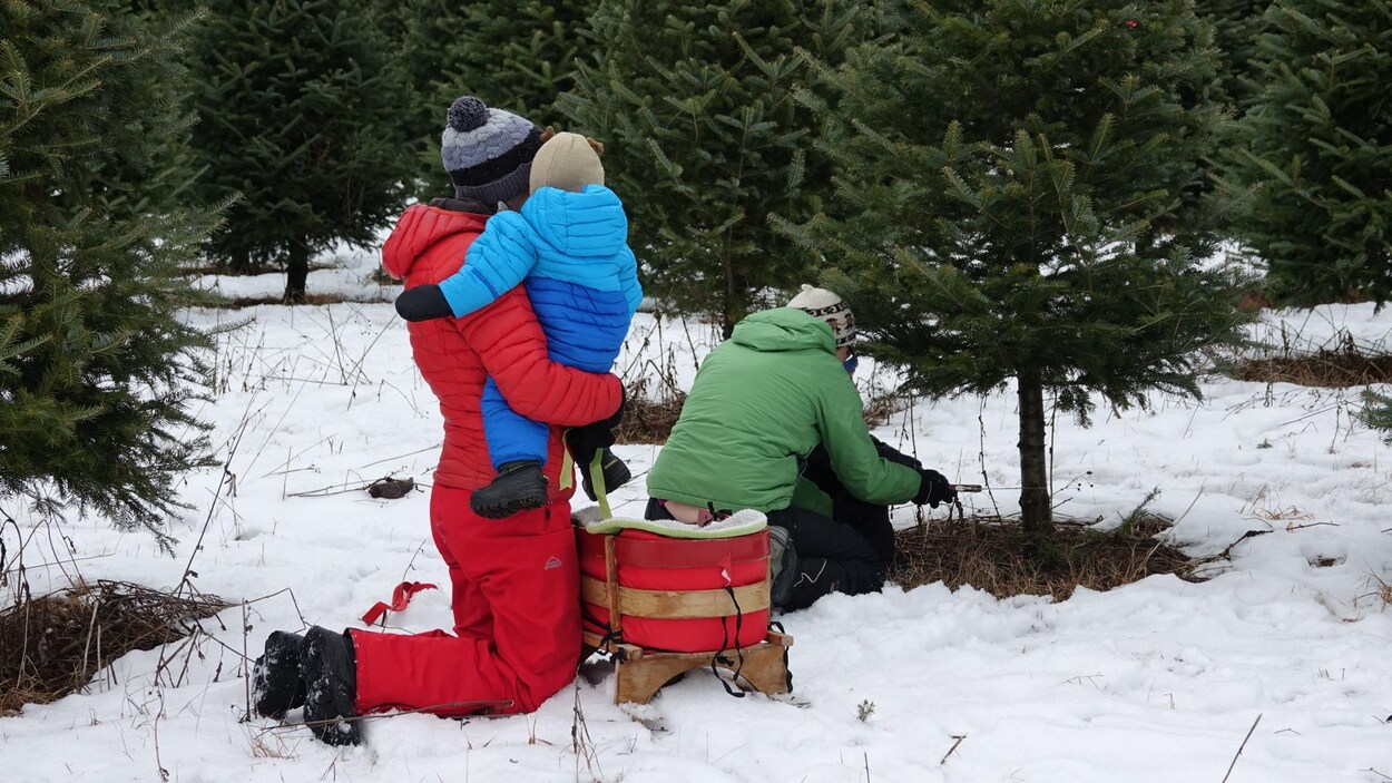 Ces émissions que l'on retrouvera sous le sapin ! #Shopping #Noël