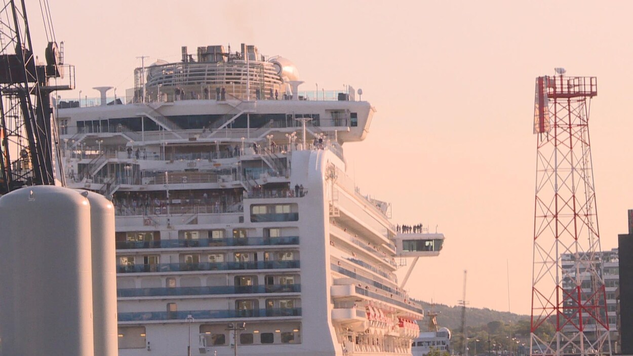 Le navire Sapphire Princess.