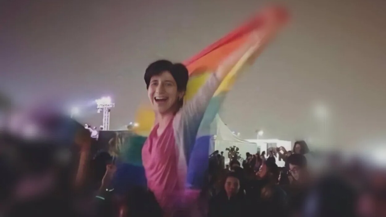 Sarah Hegazi brandit le drapeau arc-en-ciel dans la foule lors d'un concert au Caire en 2017.