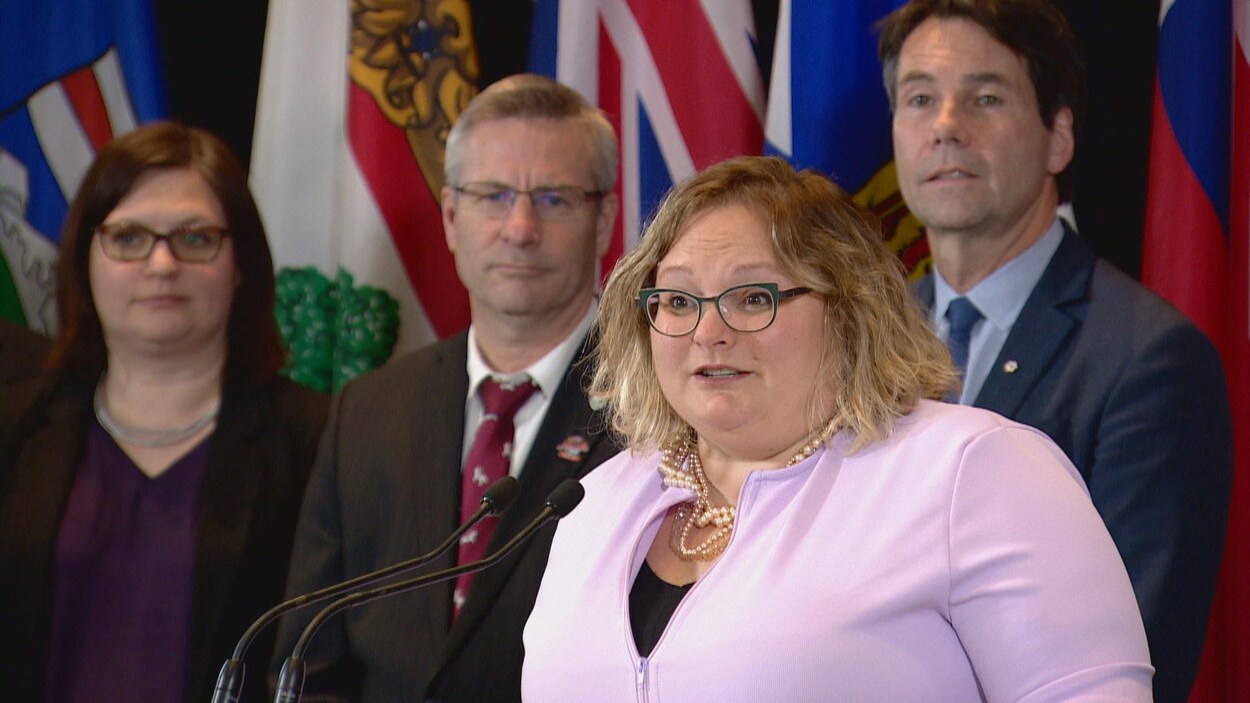 Les ministres de la Santé des provinces et des territoires ont convenus de demander plus de financement à Ottawa pour investir en santé mentale, notamment. Les ministres de la Santé des provinces et des territoires ont convenus de demander plus de financement à Ottawa pour investir en santé mentale, notamment.