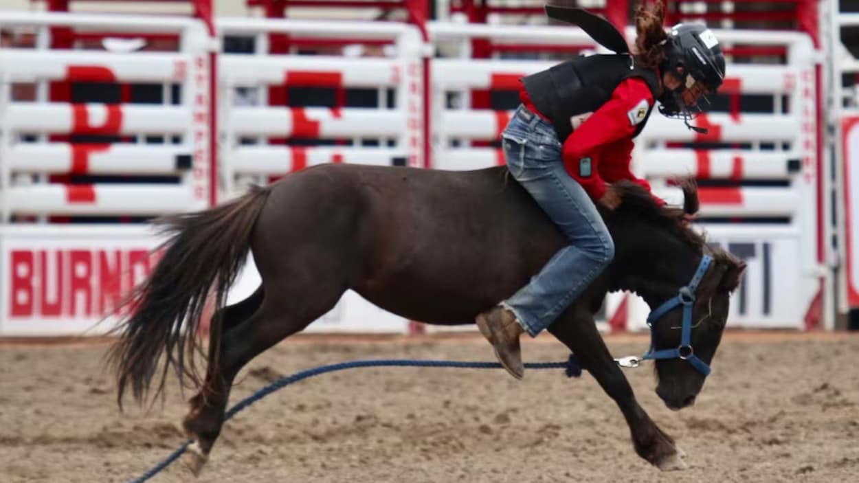 Tradition ou traumatisme? Le retour des courses de poneys sauvages divise la Saskatchewan