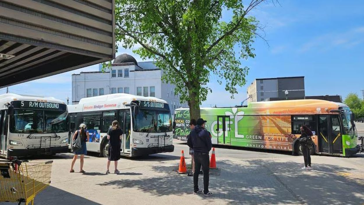 Un nouveau réseau de transport en commun à Sault-Sainte-Marie