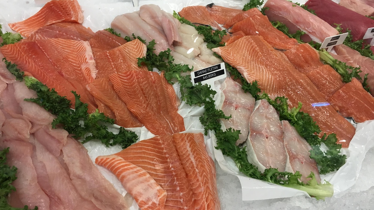 Un étal de poissons dont du saumon et du flétan. Un étal de poissons dont du saumon et du flétan.