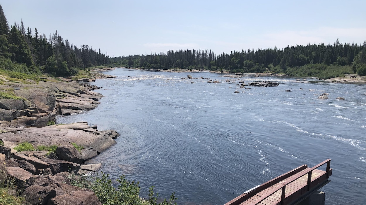 Vue sur la rivière entourée de conifères par une journée ensoleillée.