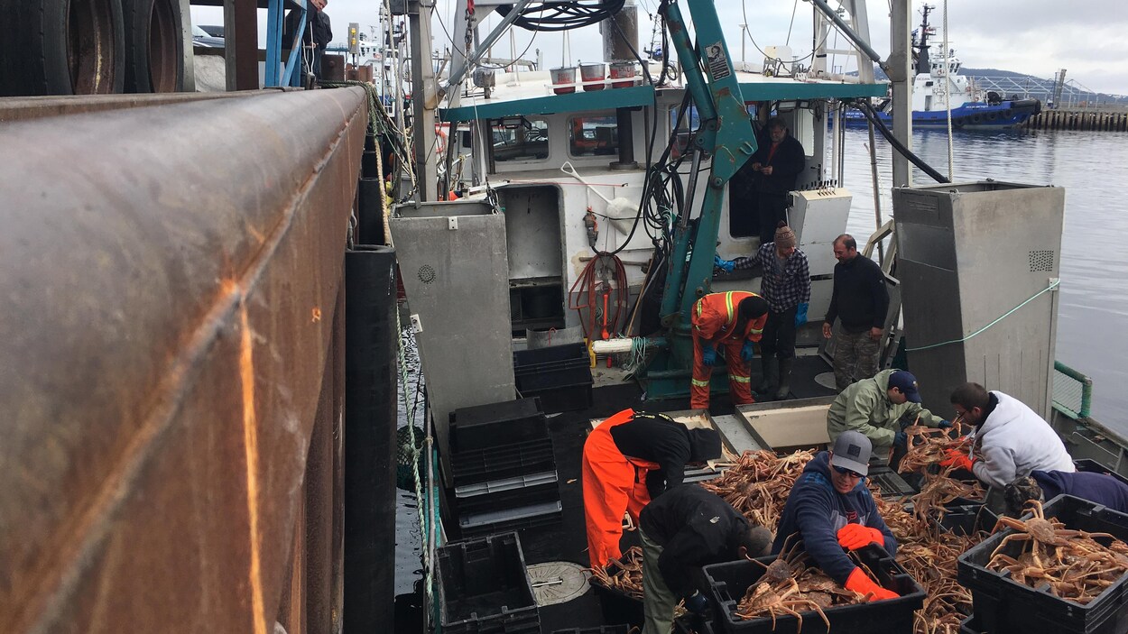 Les Pecheurs De Crabe De La Basse Cote Nord Veulent Annuler Leur Saison De Peche Coronavirus Radio Canada Ca