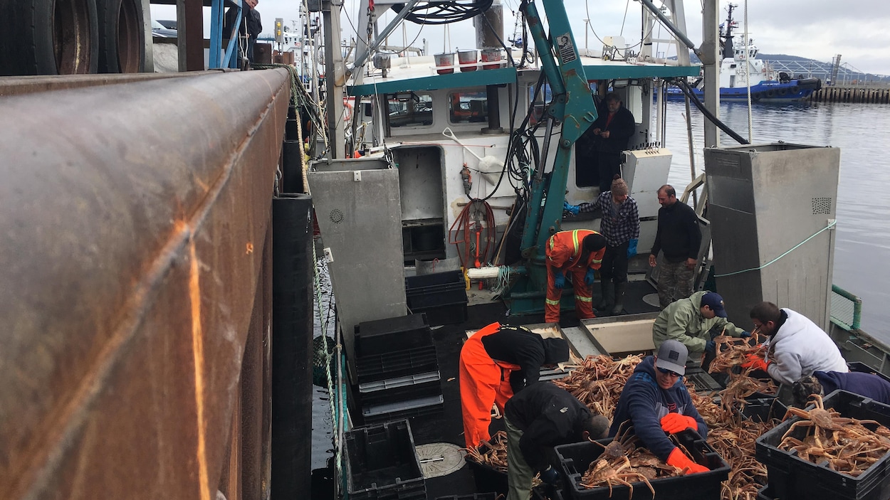 Le froid retarde la pêche au crabe sur la Côte-Nord