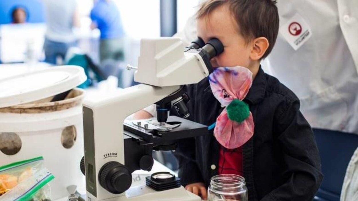 Un jeune enfant regarde dans un microscope.