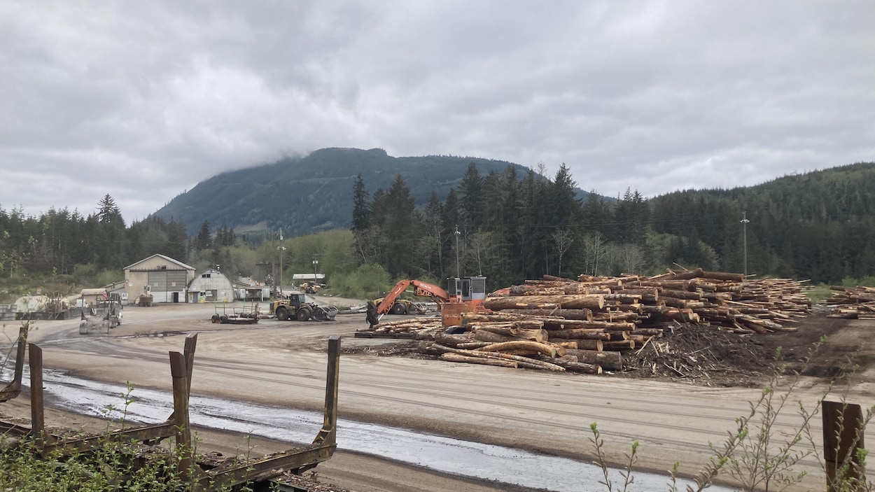 Fermeture d’une usine de copeaux près de Telegraph Cove