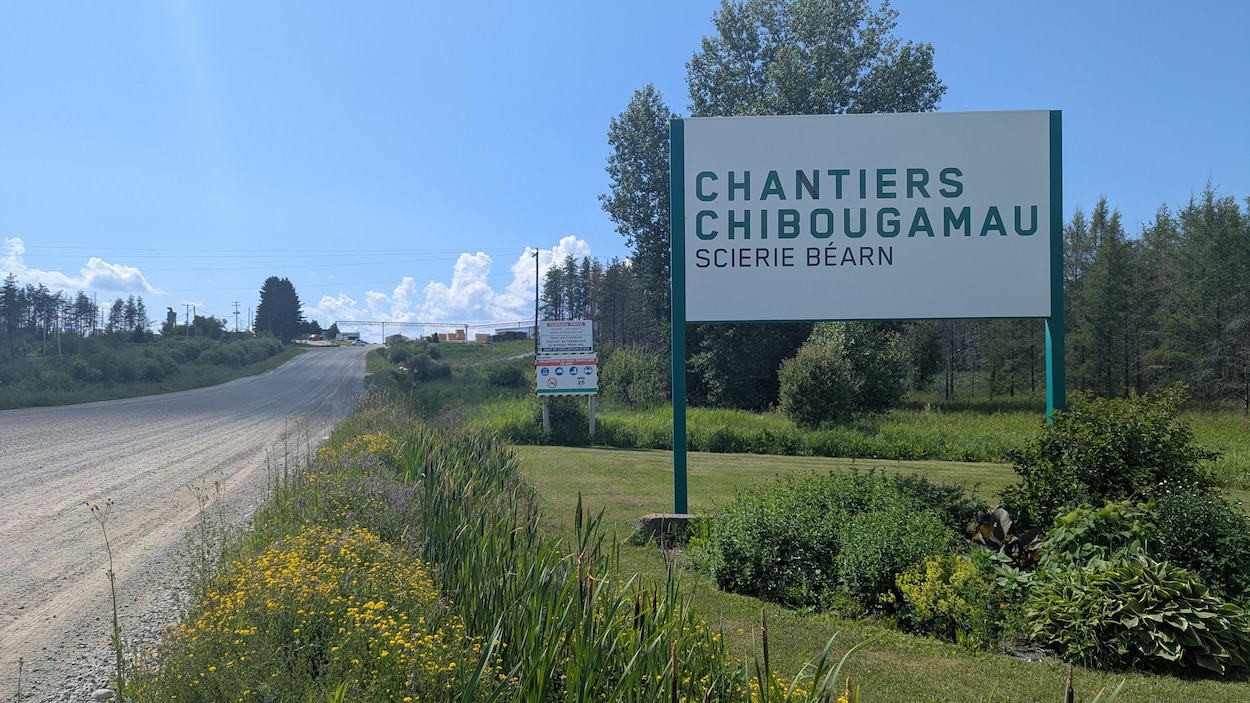 La scierie Béarn annonce une fermeture définitive, mais une relance se dessine