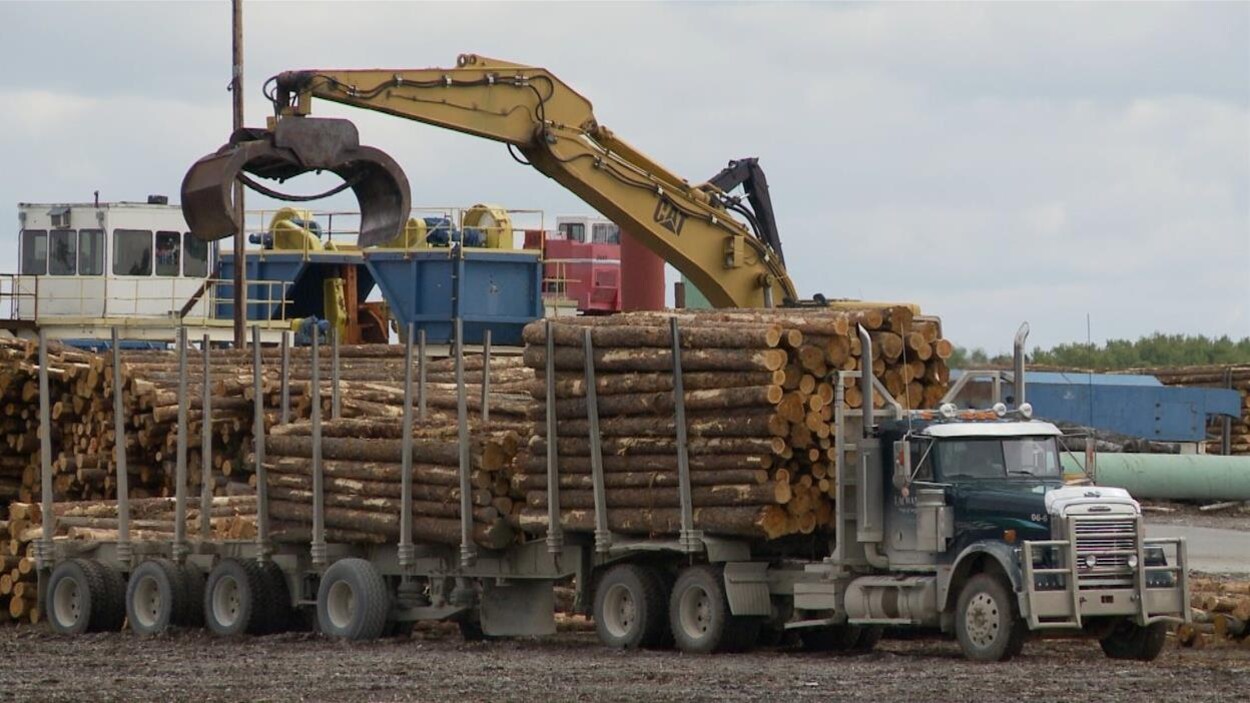 Un camion de billots dans une scierie.