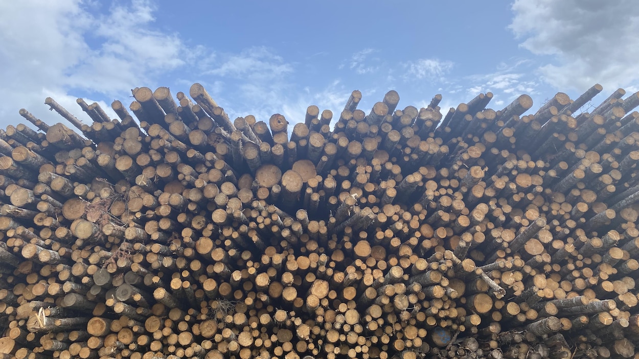 Mise à l’arrêt temporaire de l’usine Arbec de Parent