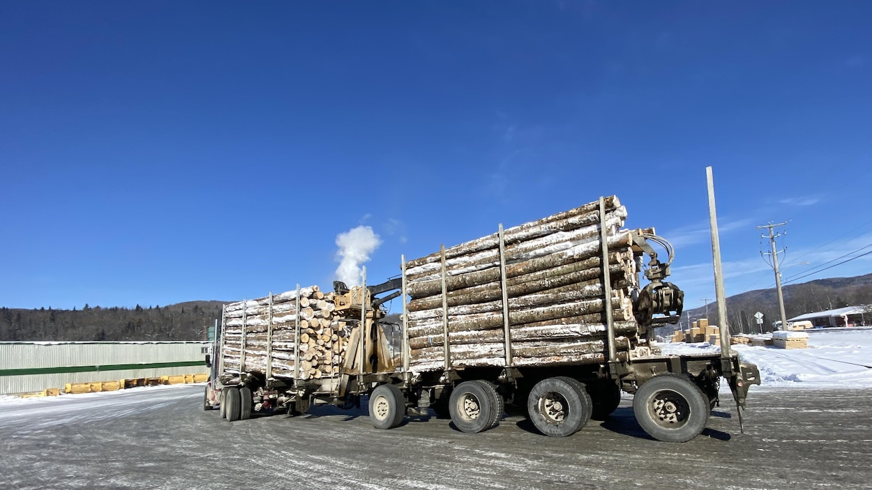 Une scierie d'East Hereford mise à mal par les droits de douane américains