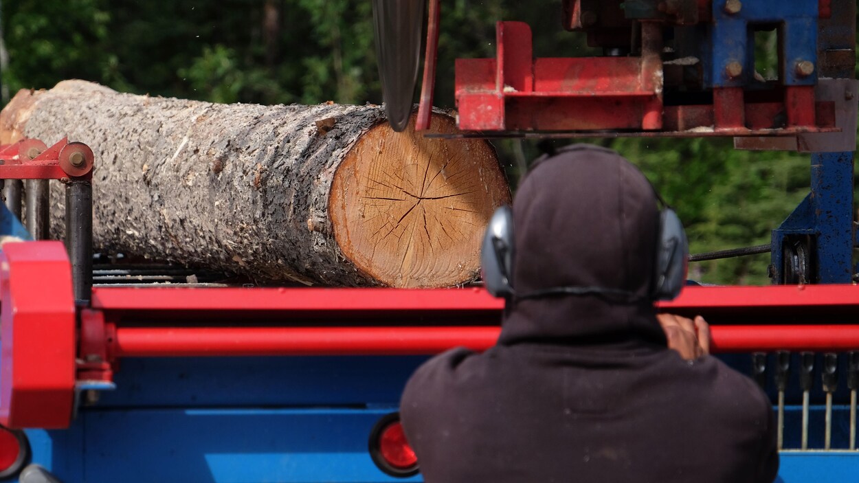 Un homme utilise une scie industrielle pour trancher un billot de bois.