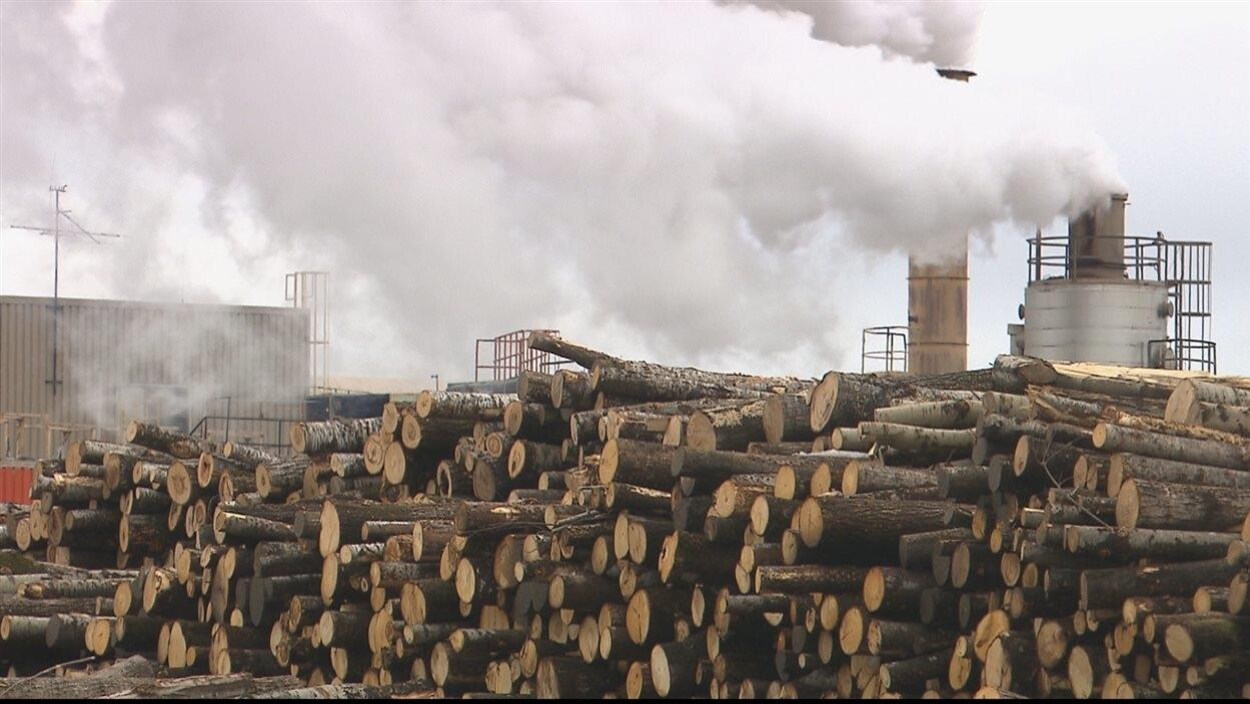 Des troncs d'arbres entassés près d'une usine