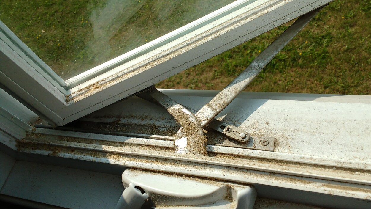 De la sciure de bois se trouve sur le mécanisme de et dans les rainures d'une fenêtre.