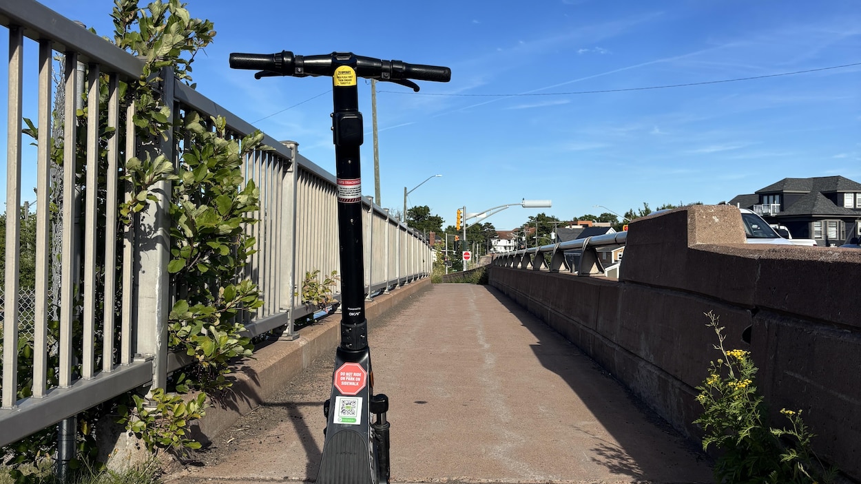 Moncton adopte un règlement qui encadre la location de trottinettes électriques