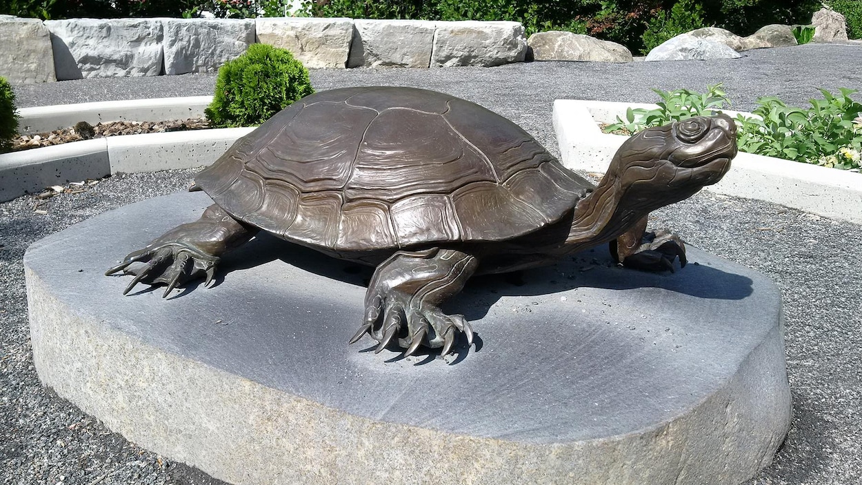 Cinq sculptures volées dans un parc de Richmond Hill