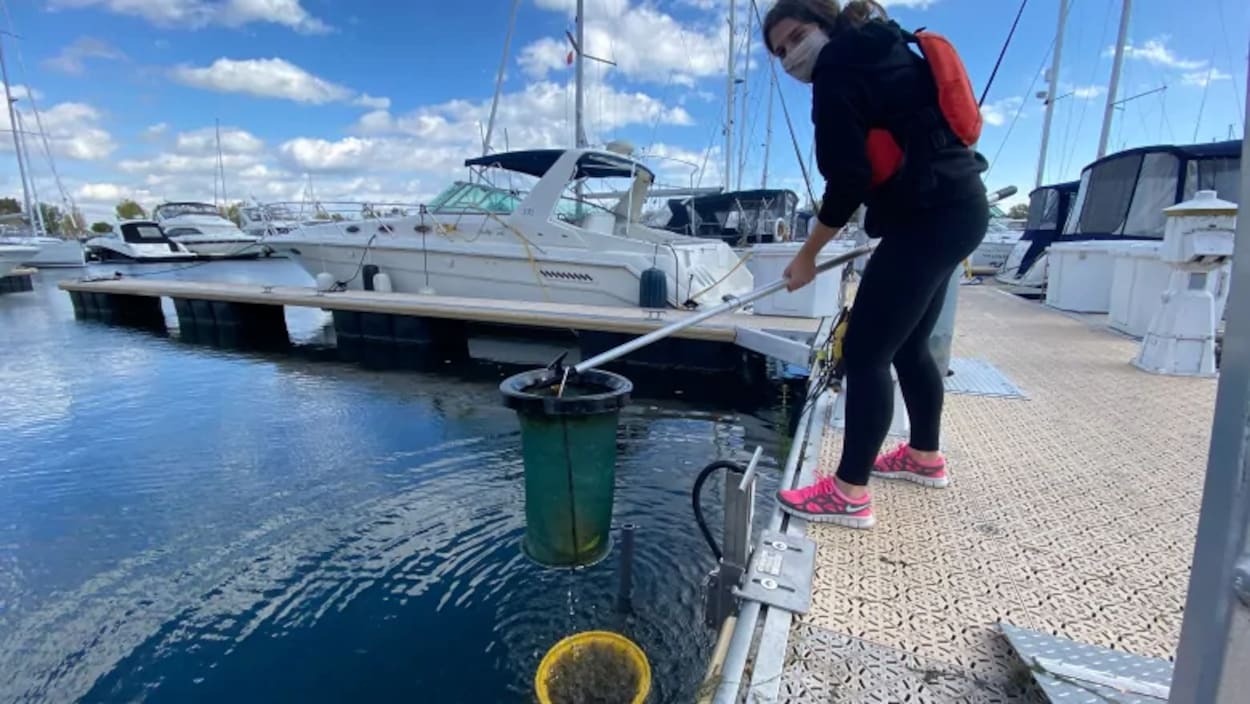 Une femme soulève un filet avec des déchet en plastique sur un quai.