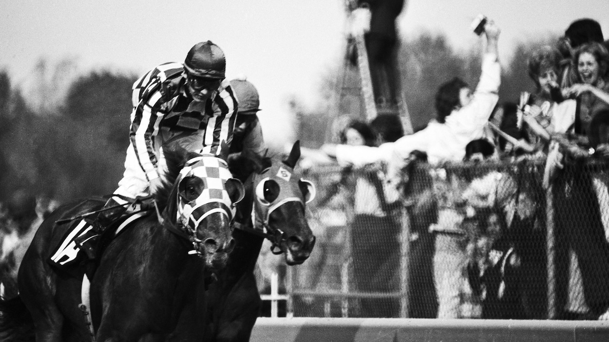 La selle de Secretariat, cheval légendaire du jockey Ron Turcotte, vendue pour 2,1 M$