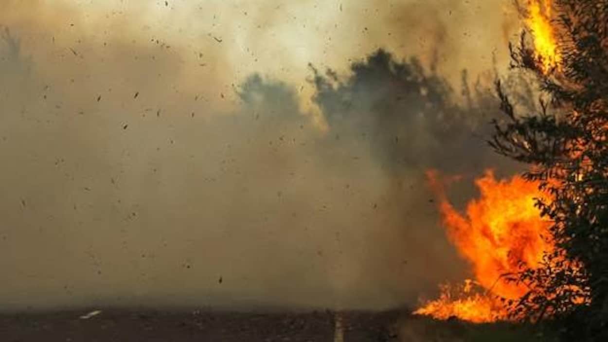 Le point sur les feux de forêt près de Fermont