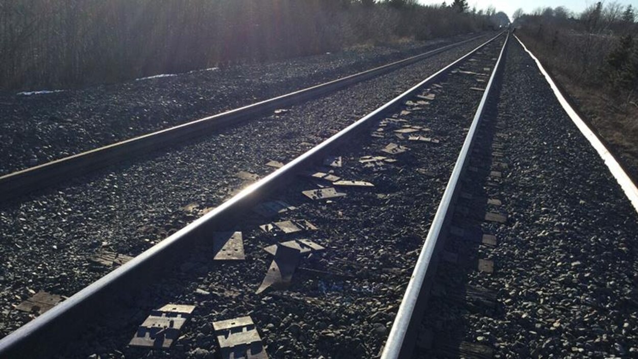 Des selles déposées entre deux rails d'une voie ferrée.