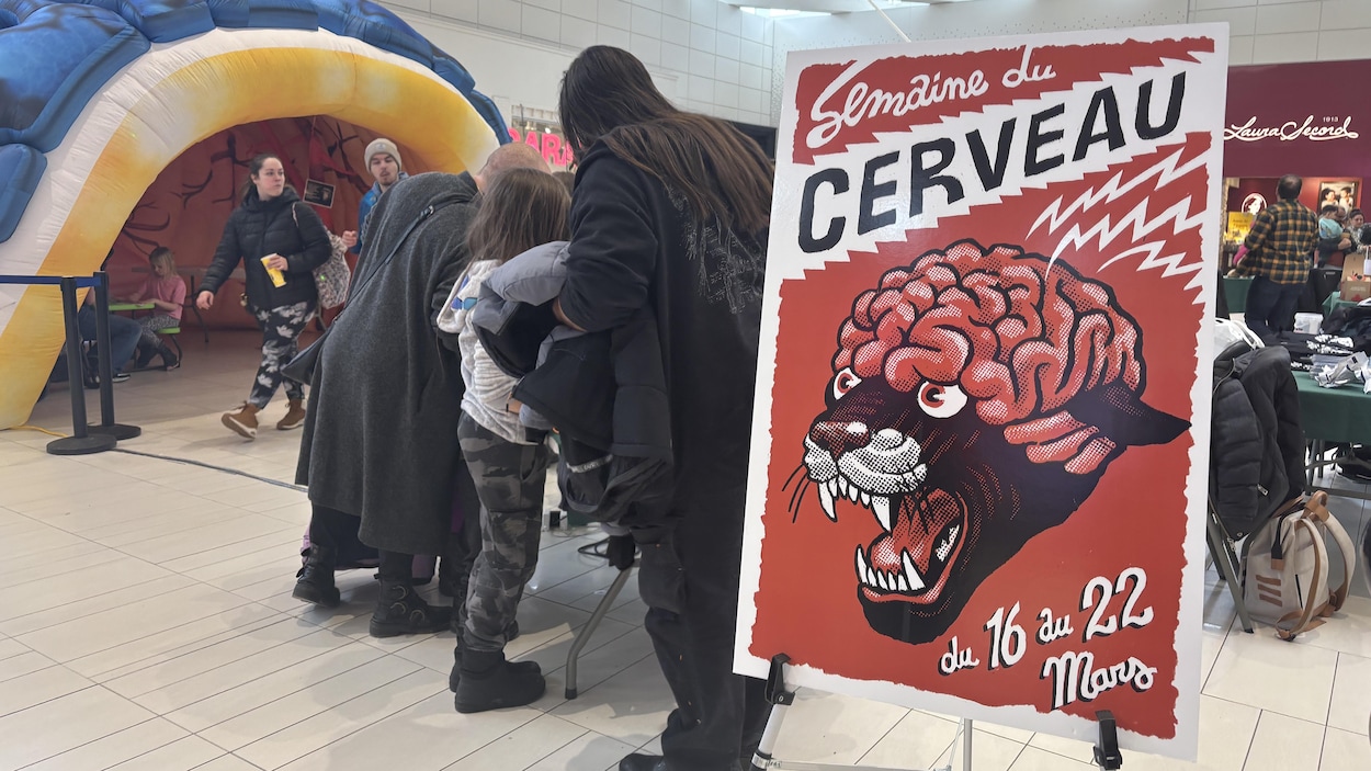 Les neurosciences à la portée de tous au Carrefour de l’Estrie