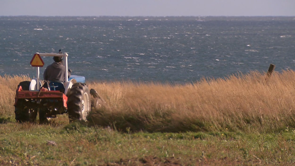 Un agriculteur conduit un tracteur dans un champ qui borde la mer.