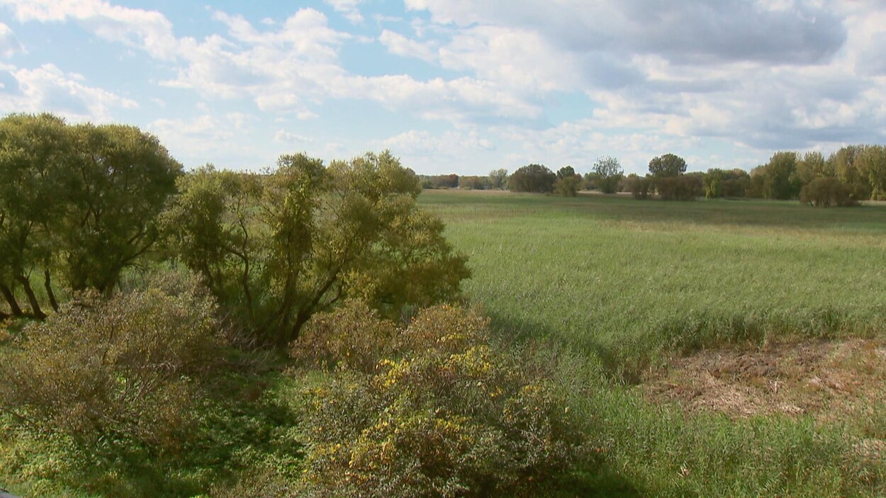 Une ancienne terre agricole en friche dans un parc national.