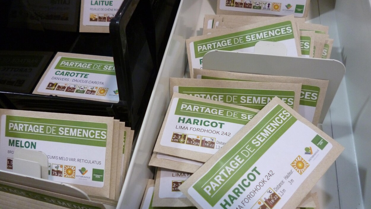 Des semences disponibles en prêt à la bibliothèque de Victoriaville Des semences disponibles en prêt à la bibliothèque de Victoriaville
