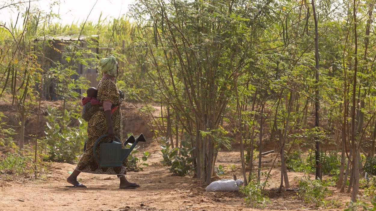 Agression physique d’une coopérante du Centre de solidarité internationale au Sénégal