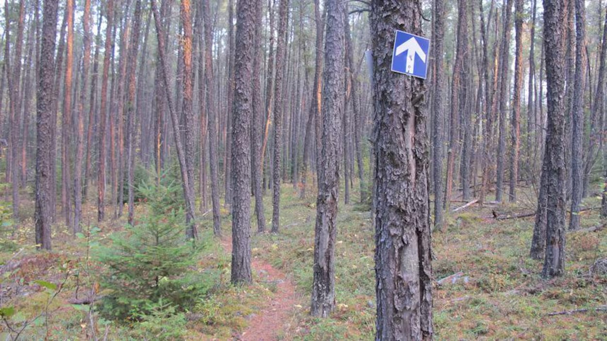 Le sentier de randonnée Mantario rouvrira partiellement cet été