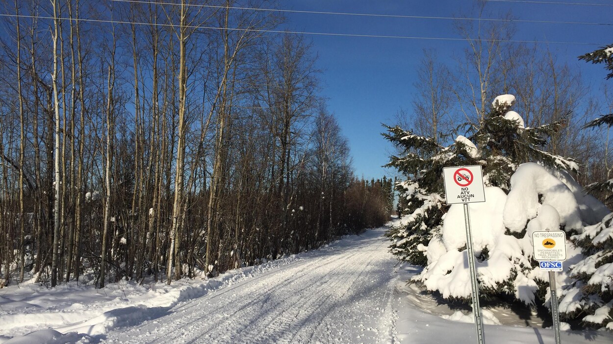 Un sentier de motoneige ontarien.
