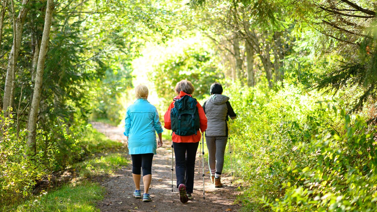 Un réseau de sentiers pourrait bientôt être créé dans l’est du Nouveau ...