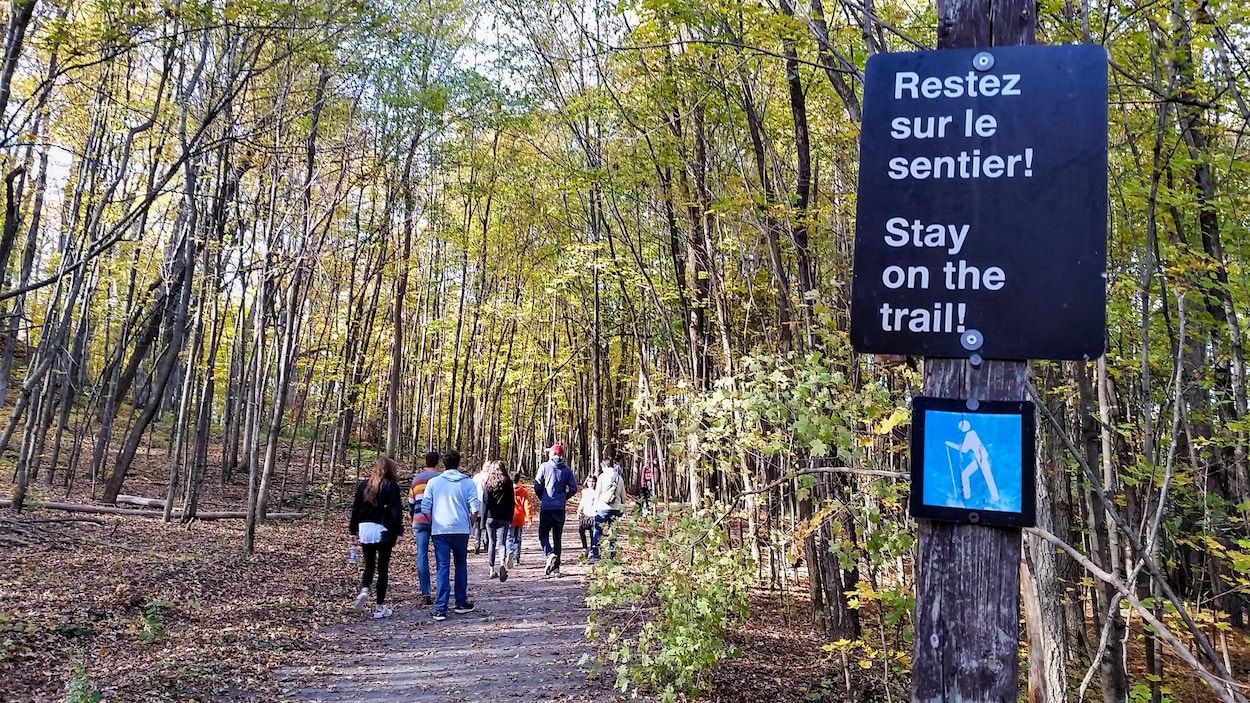 Des randonneurs dans le parc de la Gatineau, à l'automne. Sur une affiche, on peut lire : « Restez sur le sentier! » (Archives) Des randonneurs dans le parc de la Gatineau, à l'automne. Sur une affiche, on peut lire : « Restez sur le sentier! » (Archives)