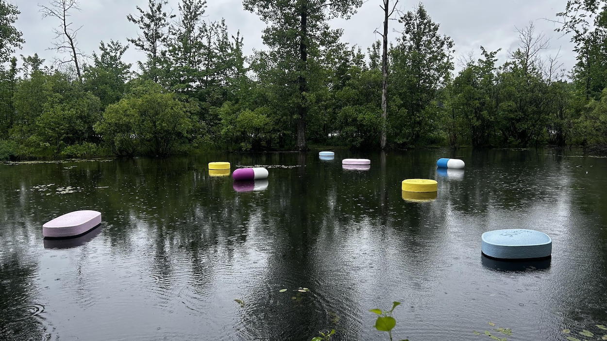 L'art public quitte le centre-ville pour investir deux parcs de Québec