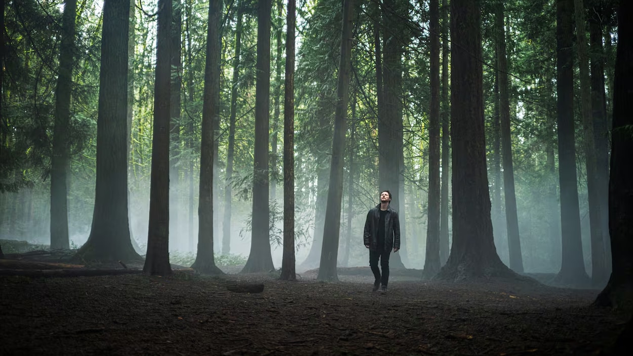 L’ambiance mystérieuse de l’île de Vancouver transparaît dans la série Yaga