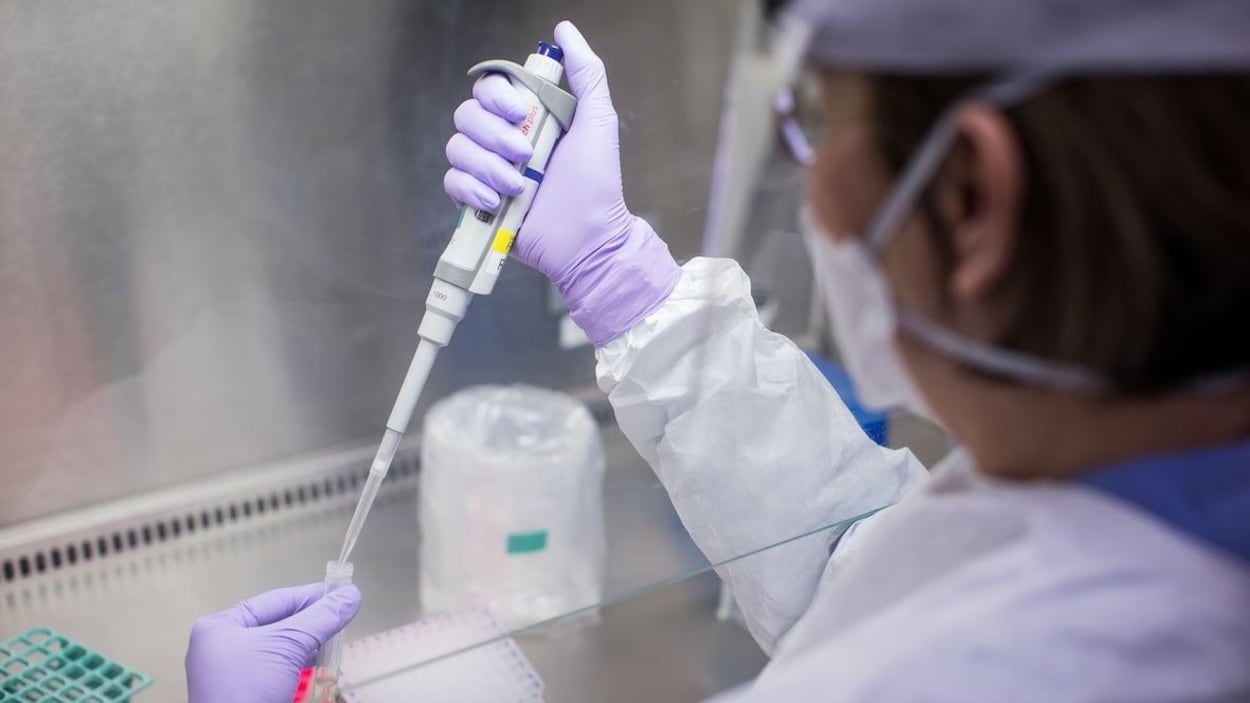 Un scientifique qui effectue un test de dépistage du coronavirus dans un laboratoire.