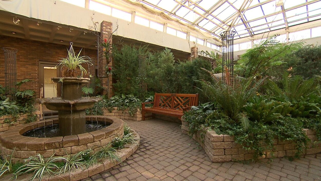 Une fontaine, des plantes et des arbres dans une serre Une fontaine, des plantes et des arbres dans une serre