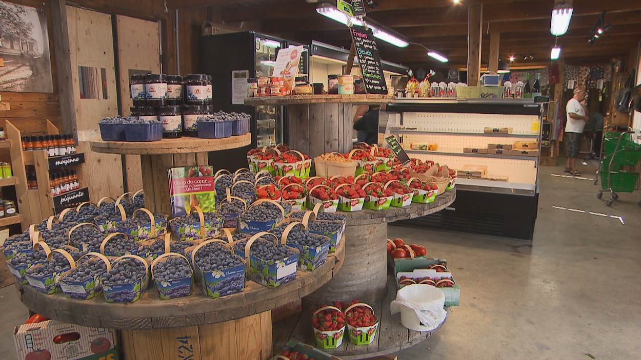 Un kiosque de fruits qui contient des fraises et des bleuets du Québec.
